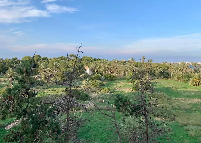 Peaceful With Sea & Nature Views, Terrace, Pool And Garage * Τορεβιέχα